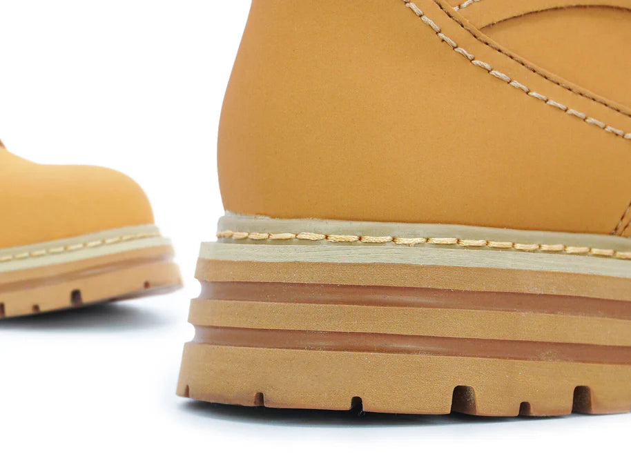 7.6cm/ 3" Height Boost Cedars