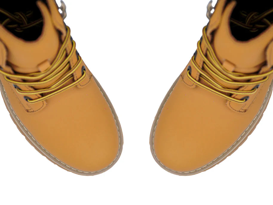 7.6cm/ 3" Height Boost Cedars