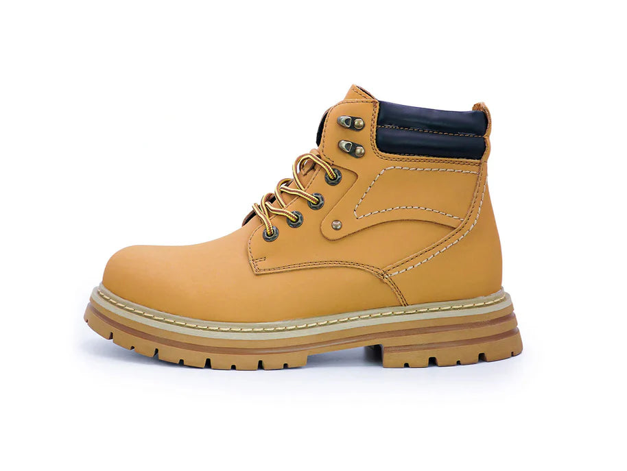 7.6cm/ 3" Height Boost Cedars